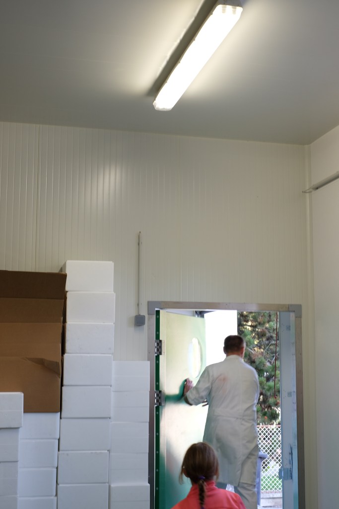 Porcella, Bio, Fleischraritäten, porcella.at, Schober Roman