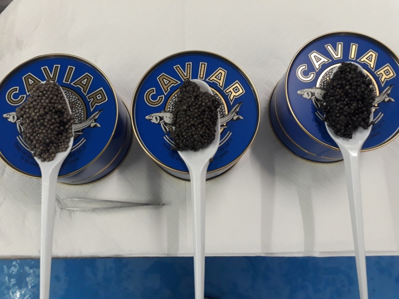 Caviar (28)